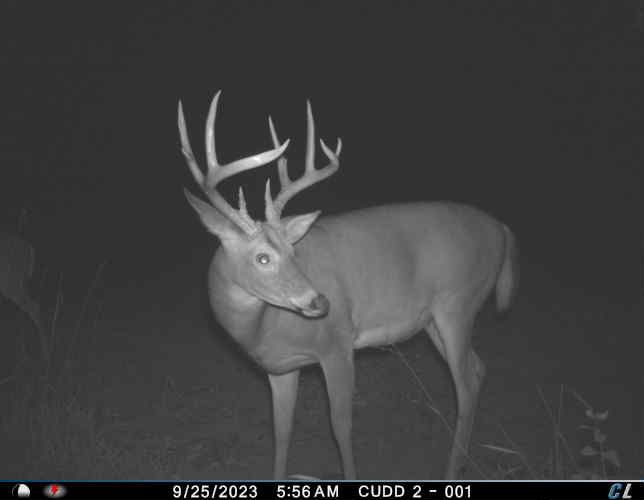 Listing Photo: Iowa deer hunting